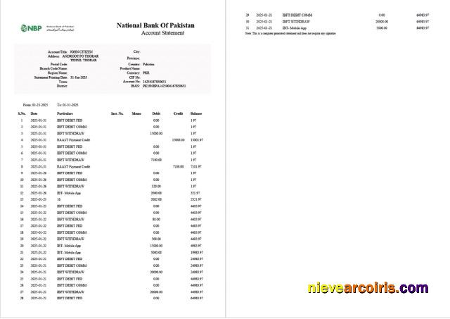 Pakistan National Bank of Pakistan account statement Word and PDF, 2 pages